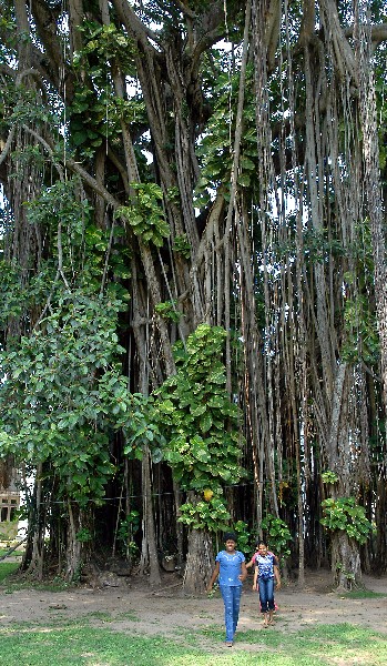 You have reached the last slide